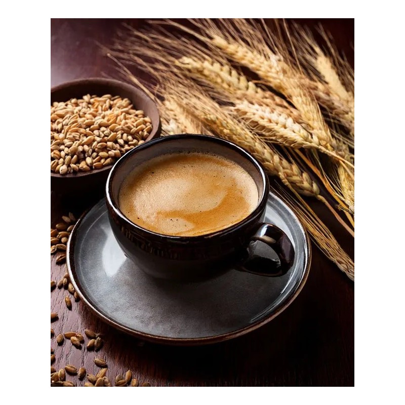 Orzo Tostato Solubile Bio 120g | Baule Volante - Senza Caffeina e Naturale