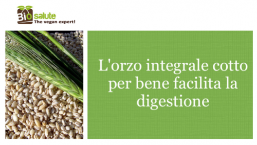 Orzo integrale e digestione